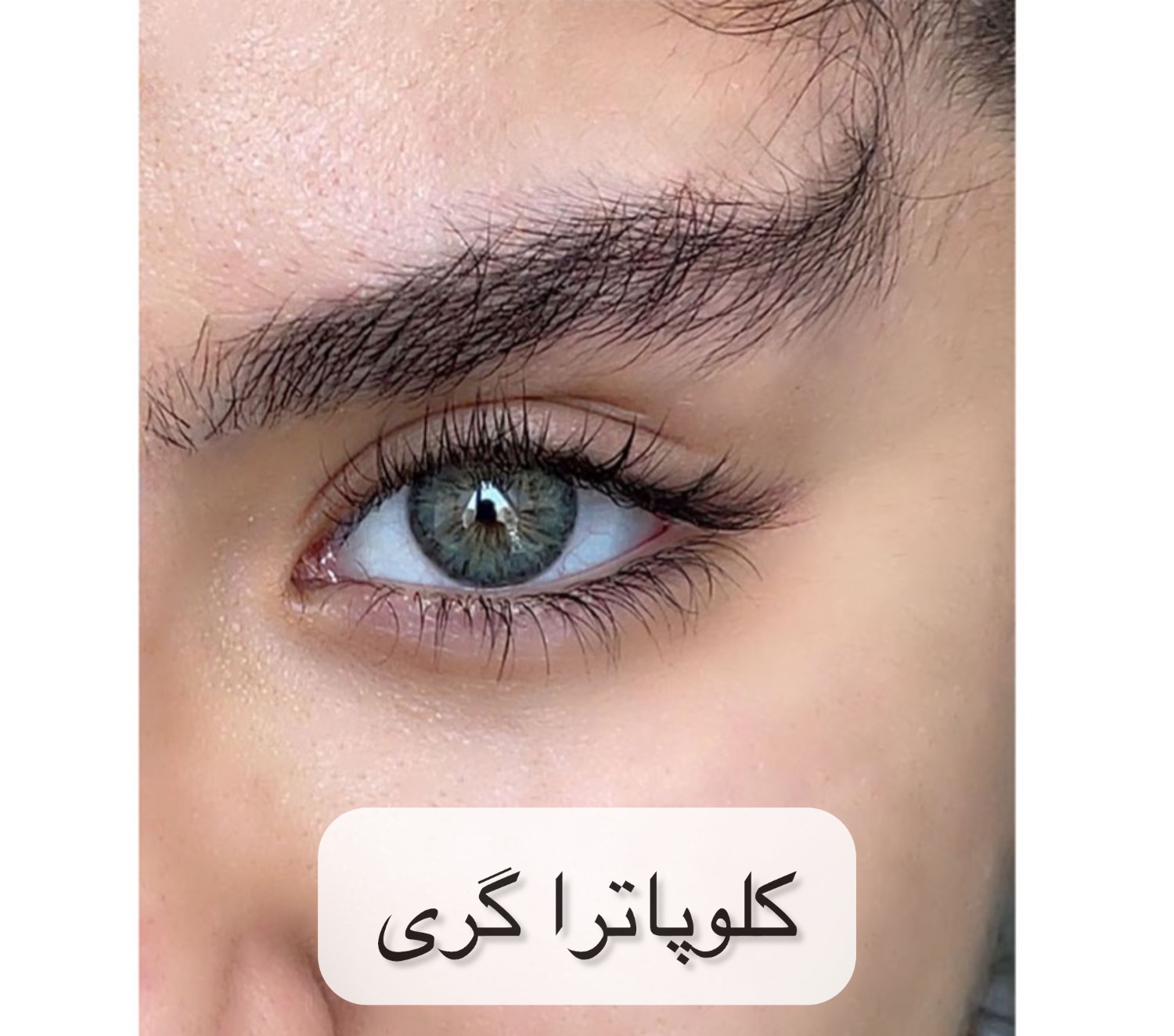 لنز رنگی یونیک (Unique) - Image 4
